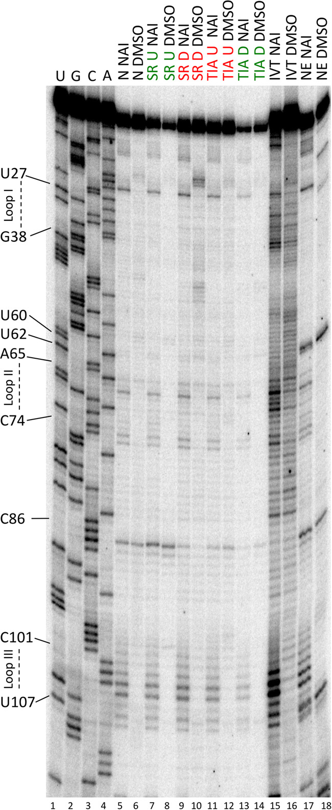 FIGURE 4.