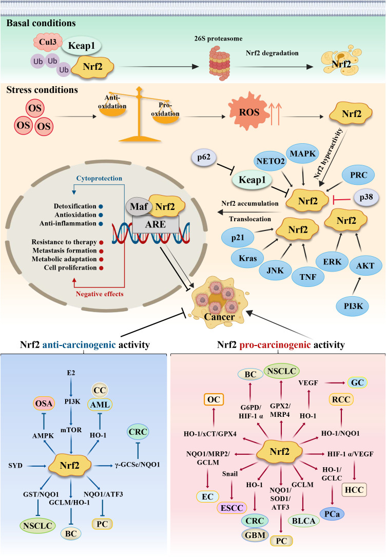 Figure 2