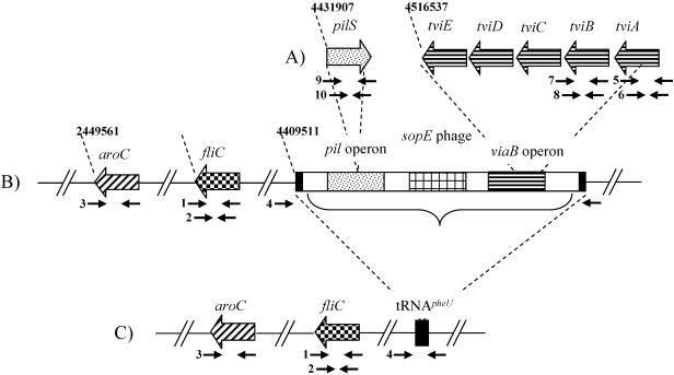 FIG. 1.