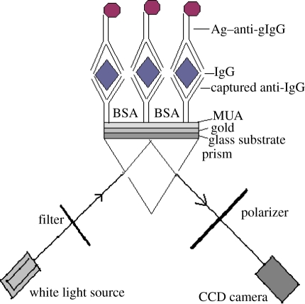 Figure 1.