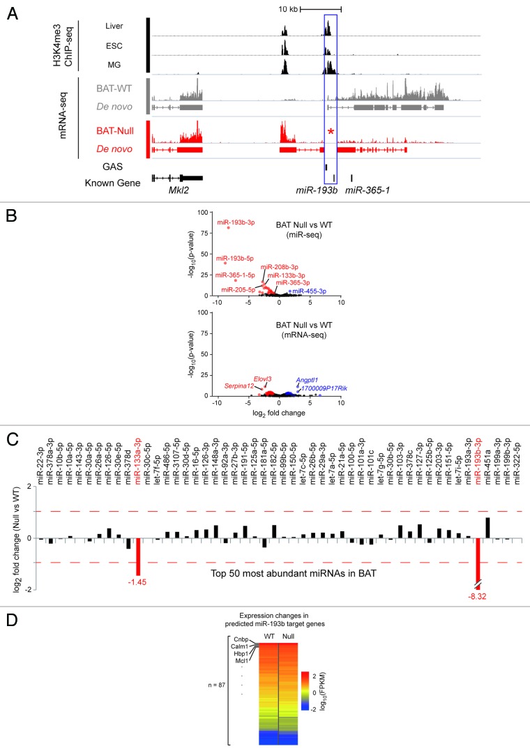 graphic file with name rna-10-1807-g1.jpg