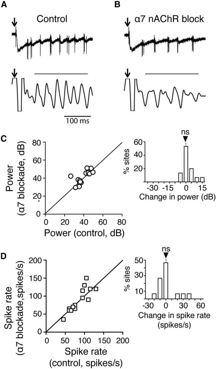 Figure 10.