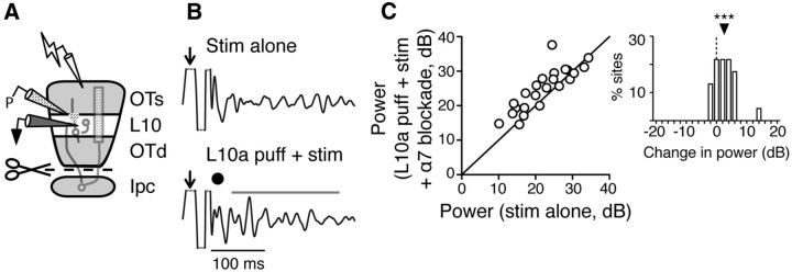 Figure 11.