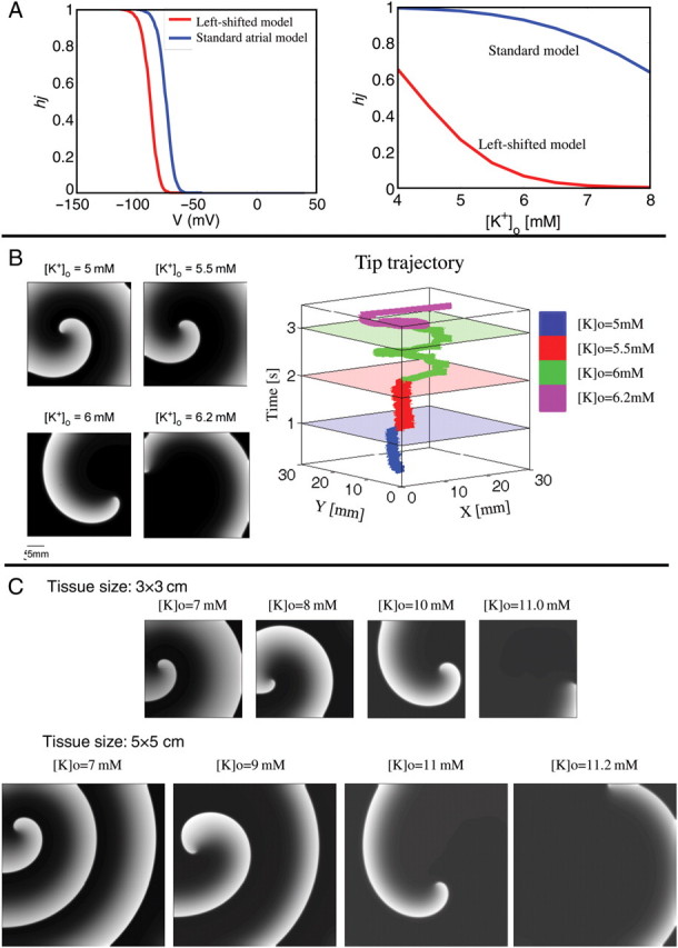 Figure 6