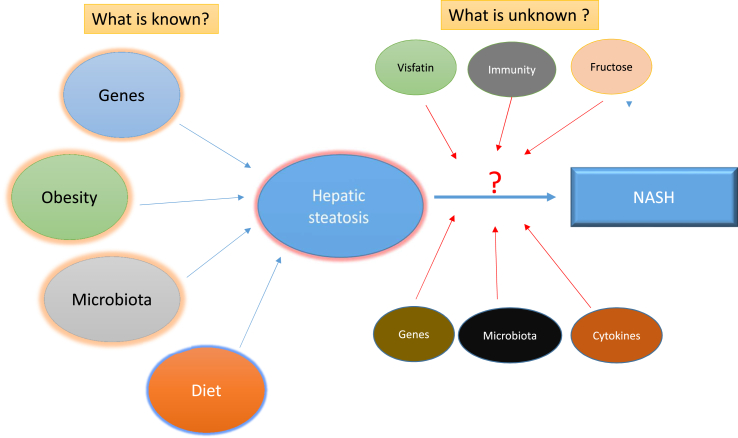 Figure 1