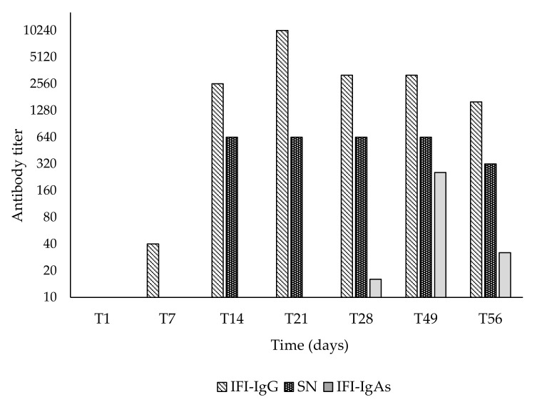 Figure 6