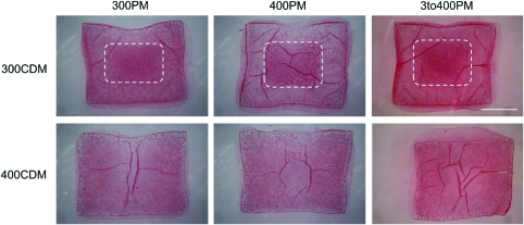 FIG. 4.