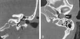 F<sc>ig</sc> 1.