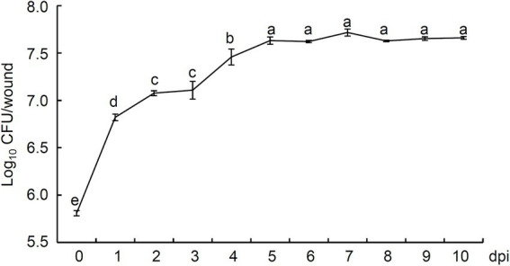 Figure 5