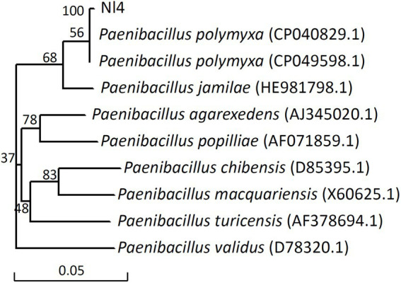 Figure 4