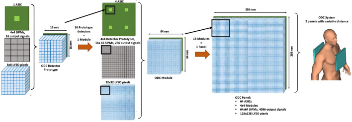 Fig. 1