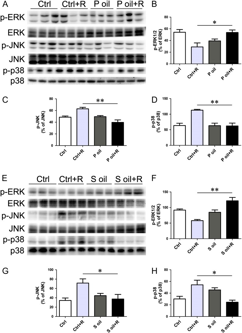 Figure 5: