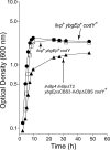 FIG. 3.
