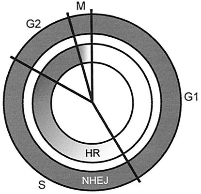 FIG. 7.