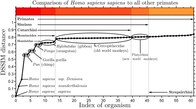 Fig 7