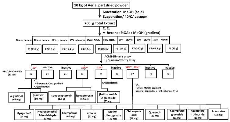 Flowchart 1