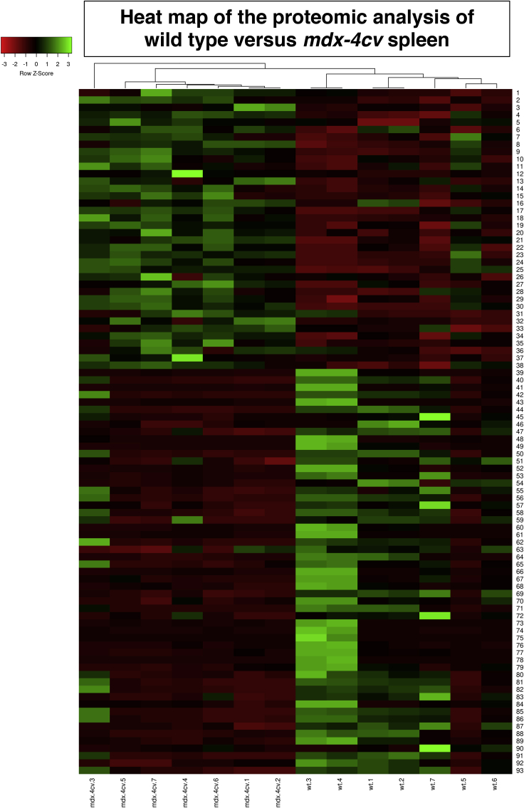 Figure 4