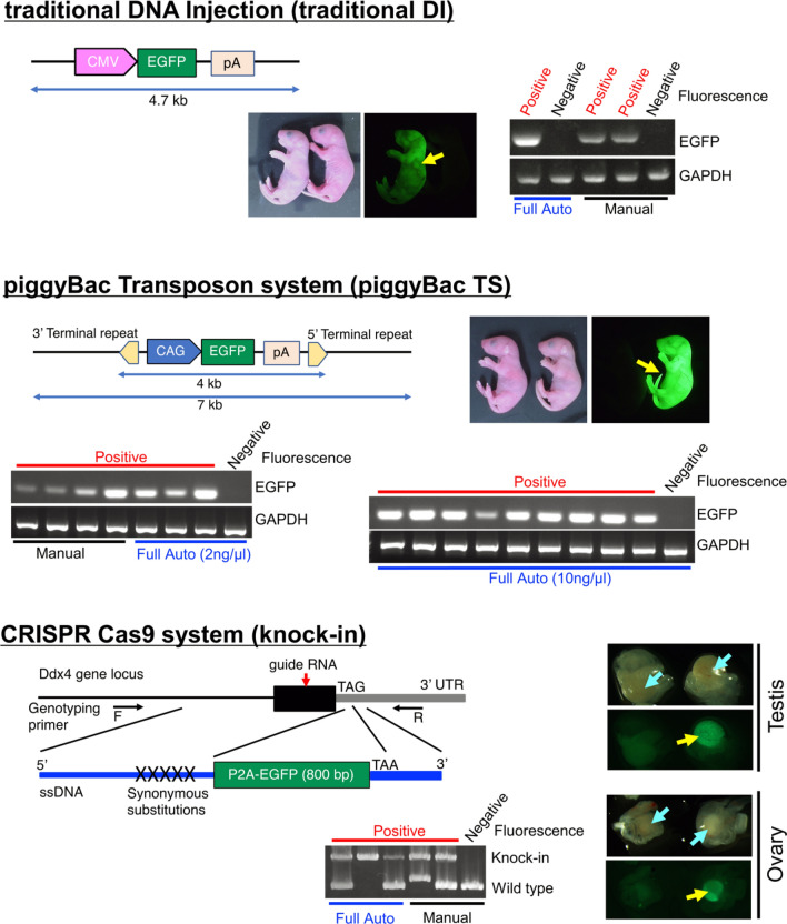 Figure 6