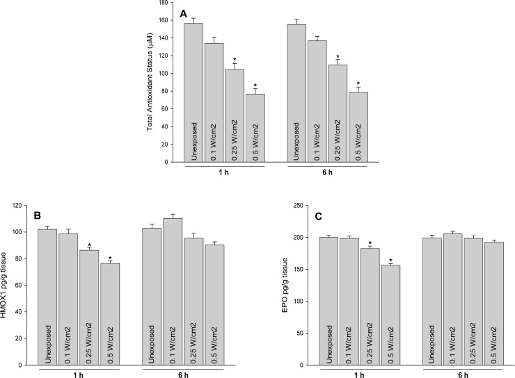 Fig 10