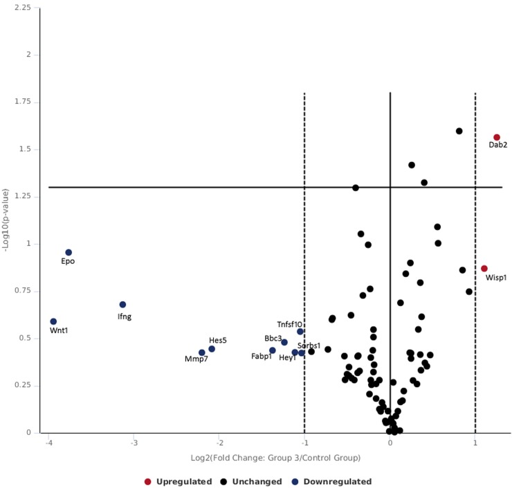 Fig 5