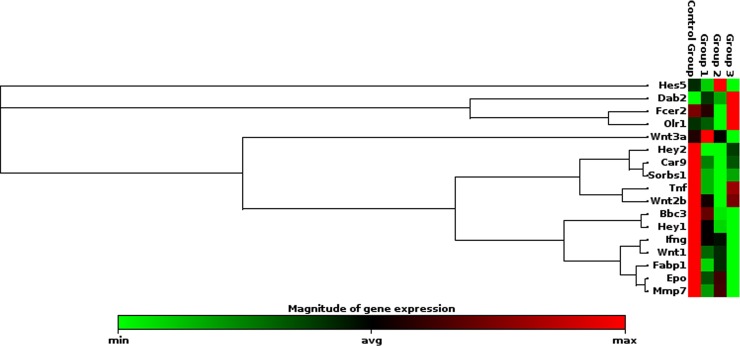 Fig 12