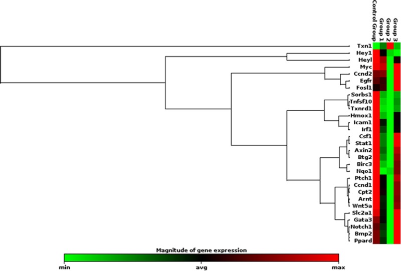 Fig 11