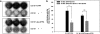 FIG. 4.