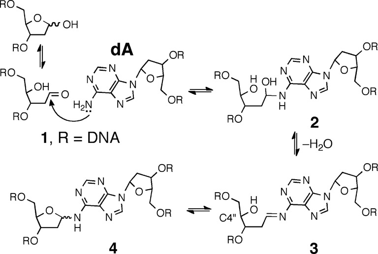 Scheme 1.