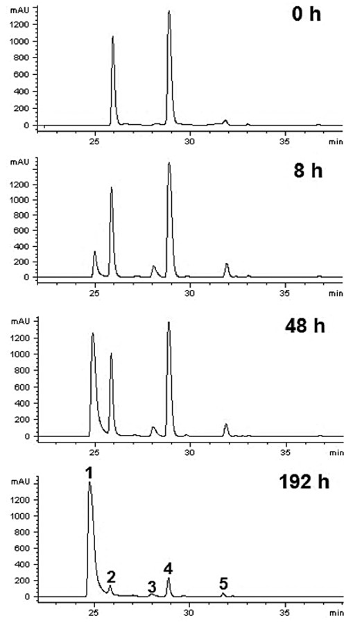 Figure 5.