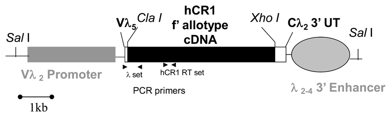 Diagram 1