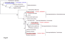 Figure 1—figure supplement 3.