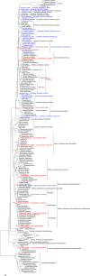Figure 1—figure supplement 2.