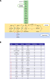 Figure 1—figure supplement 1.
