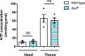 Figure 4—figure supplement 3.