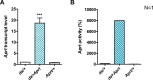Figure 2—figure supplement 1.