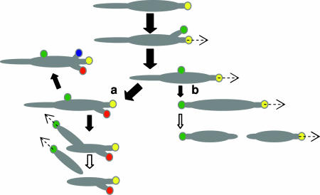 Fig. 6.