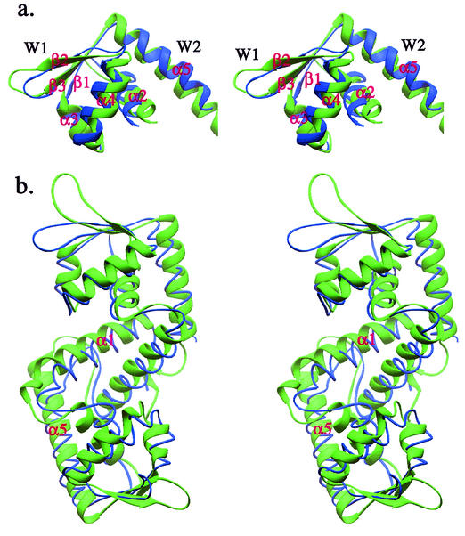 FIG. 5.