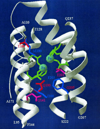 FIG. 4.