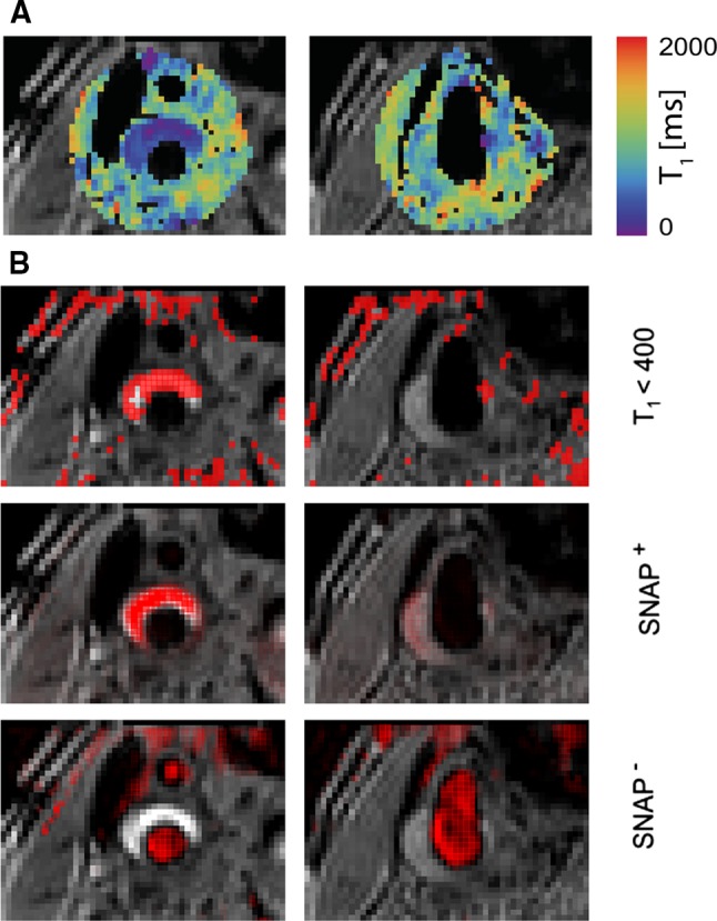 Fig. 4