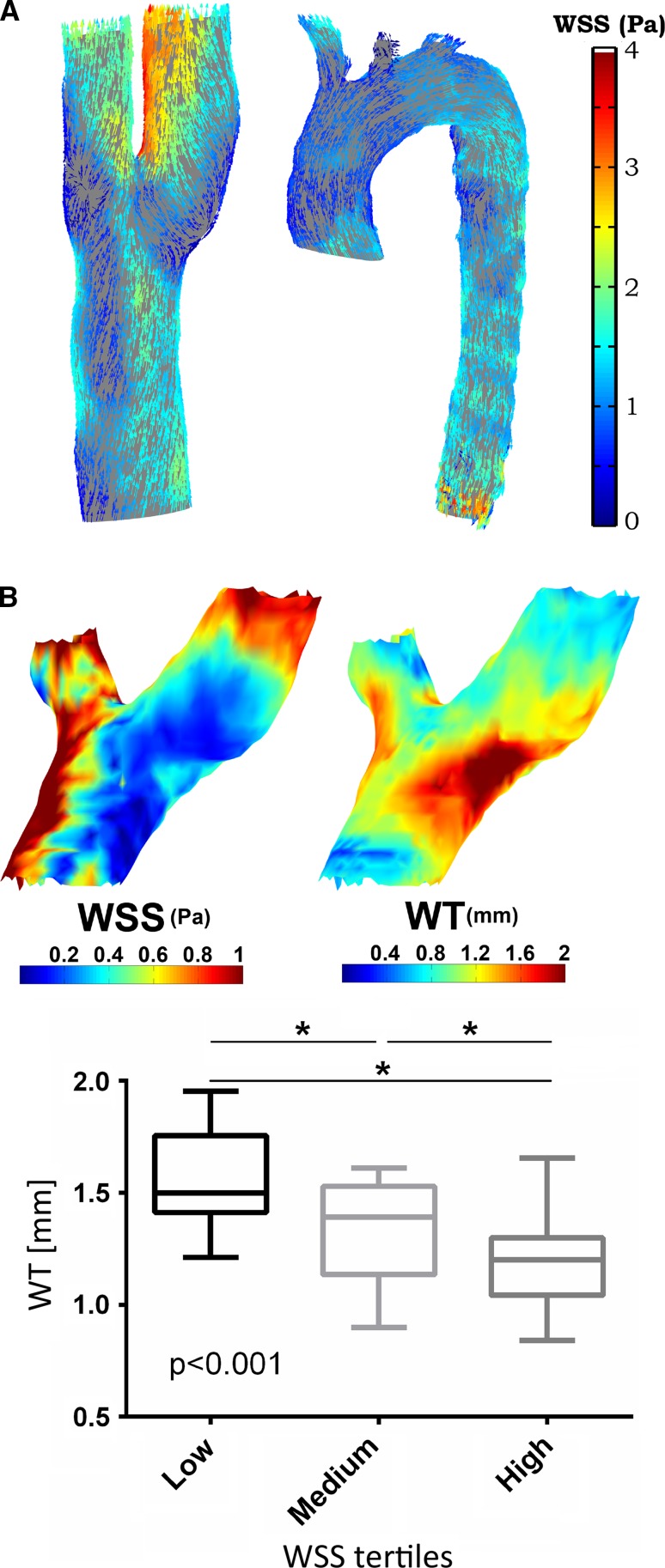 Fig. 8