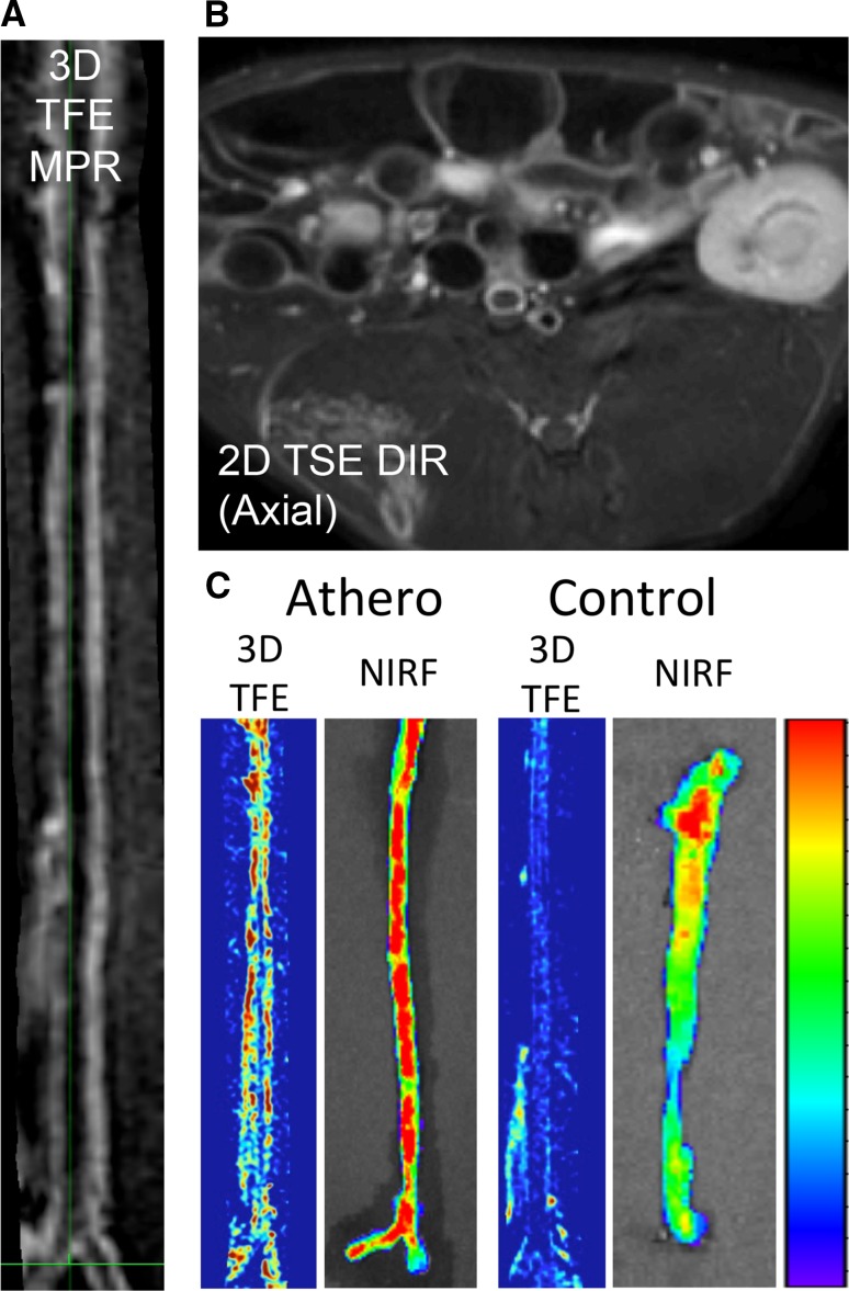 Fig. 7