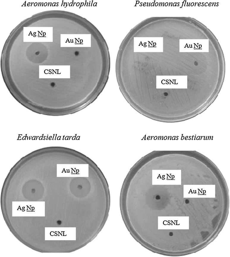 Fig. 7