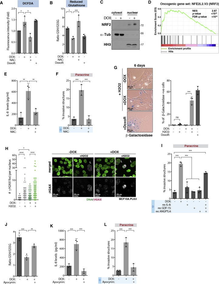 Figure 6