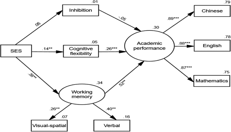 Figure 1