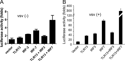 FIGURE 6.