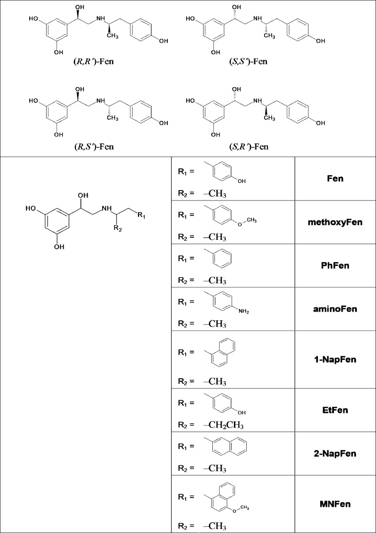 FIGURE 1.