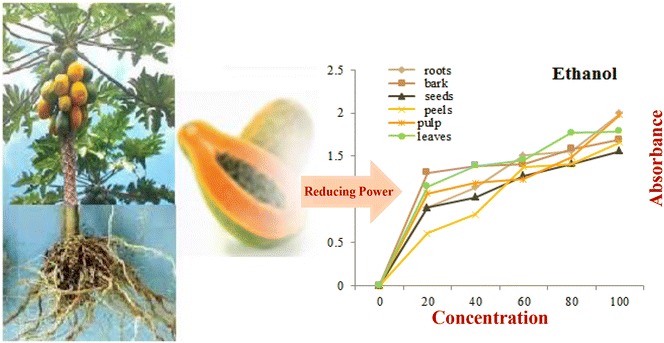 Graphical abstract