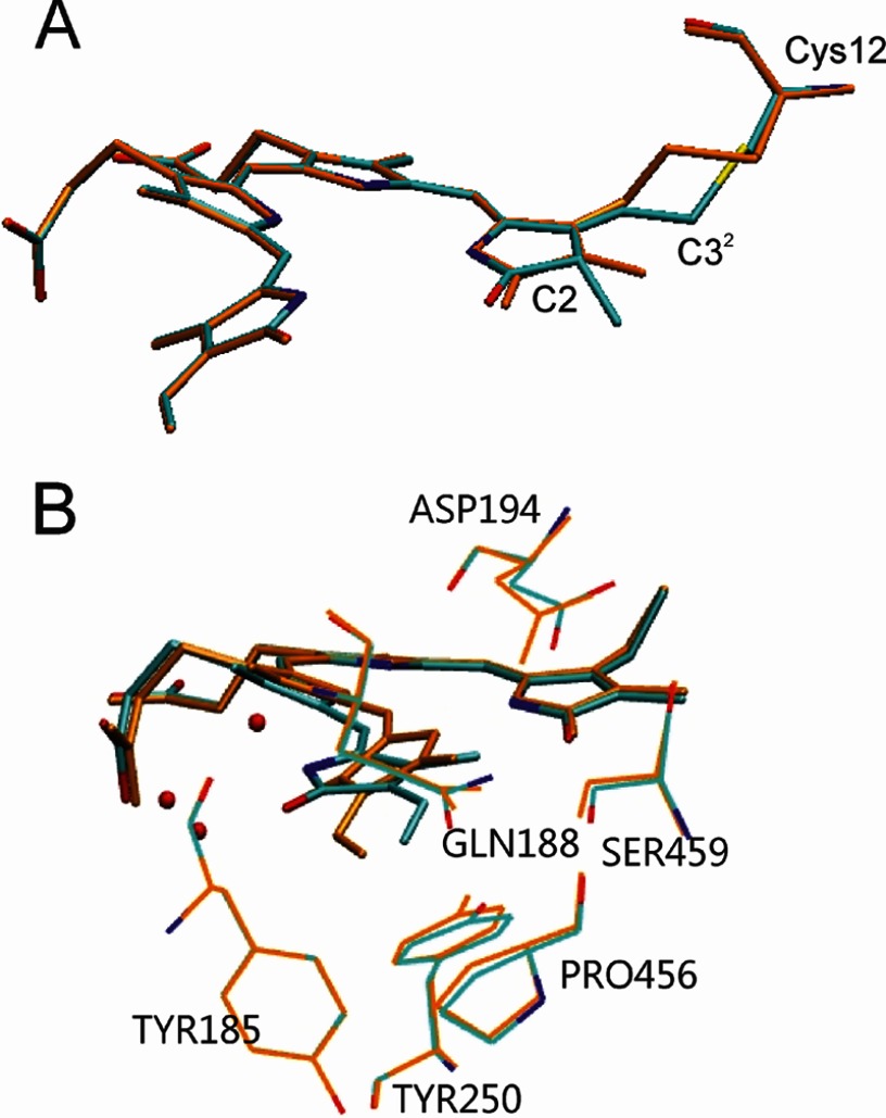 FIGURE 6.