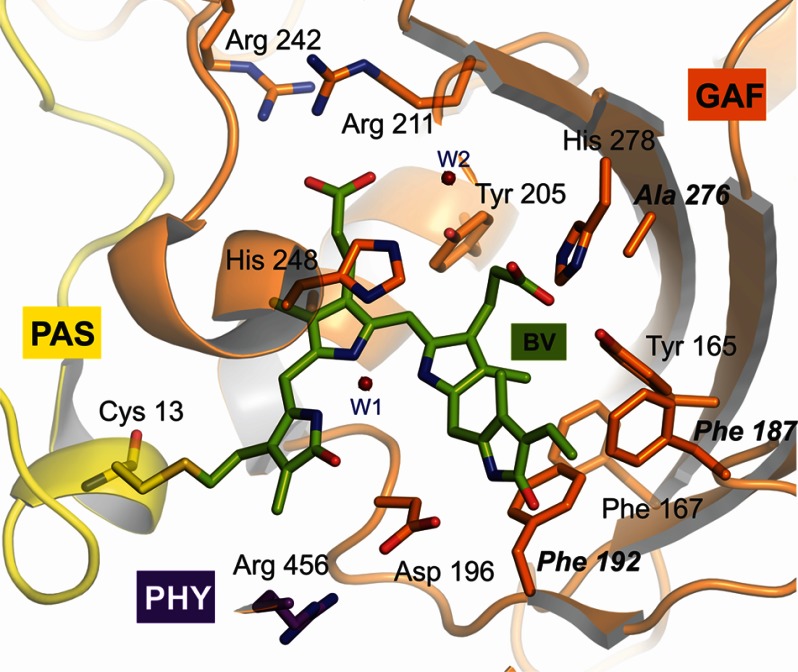 FIGURE 9.