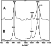 FIGURE 14.
